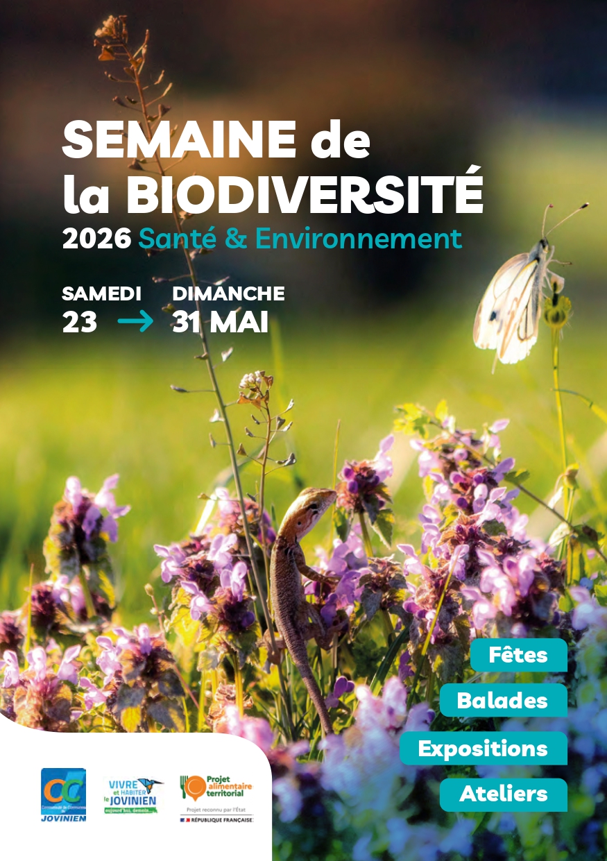Affiche de l'évènement