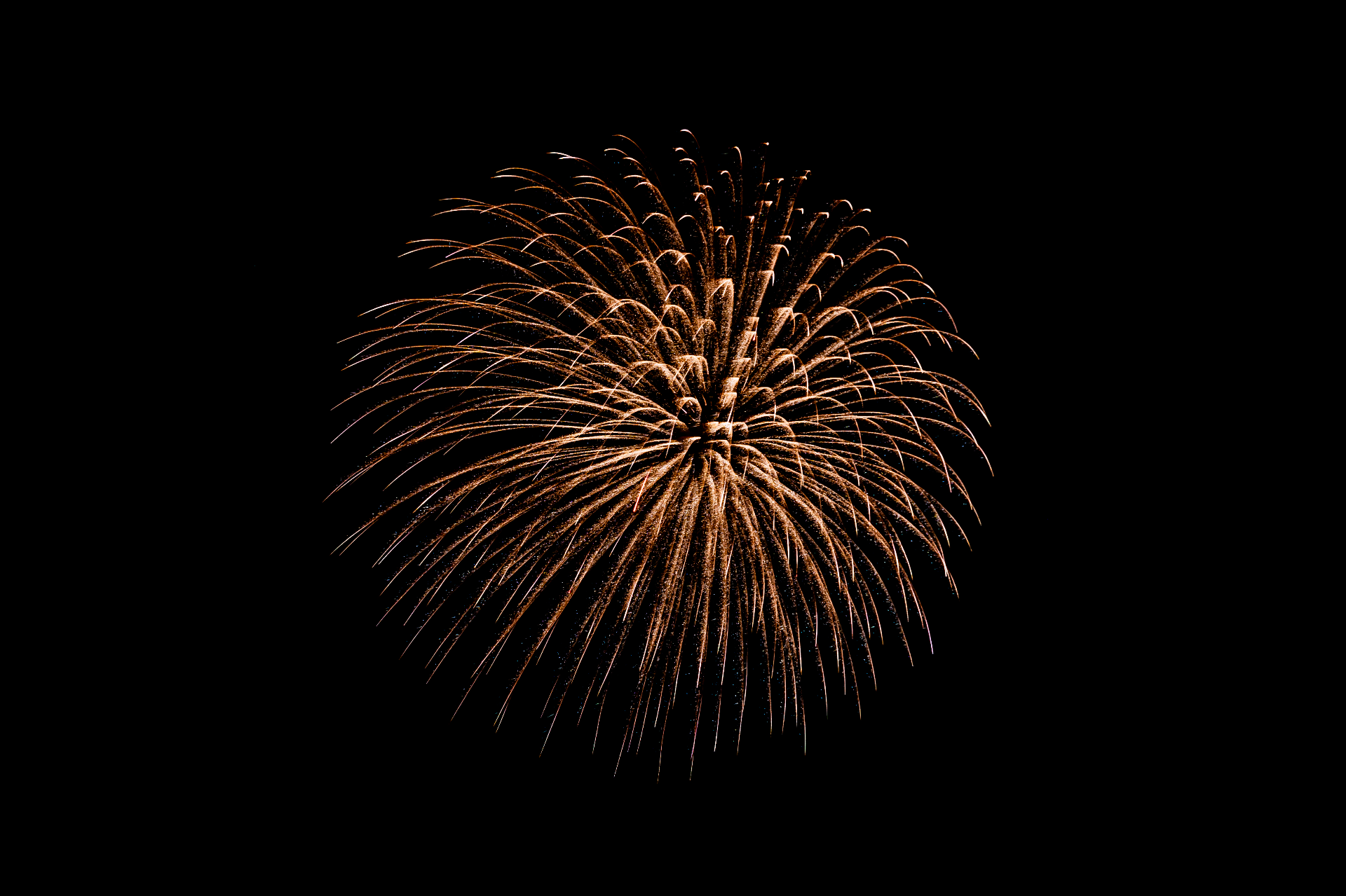 Un spectacle de feux d'artifice colorés
